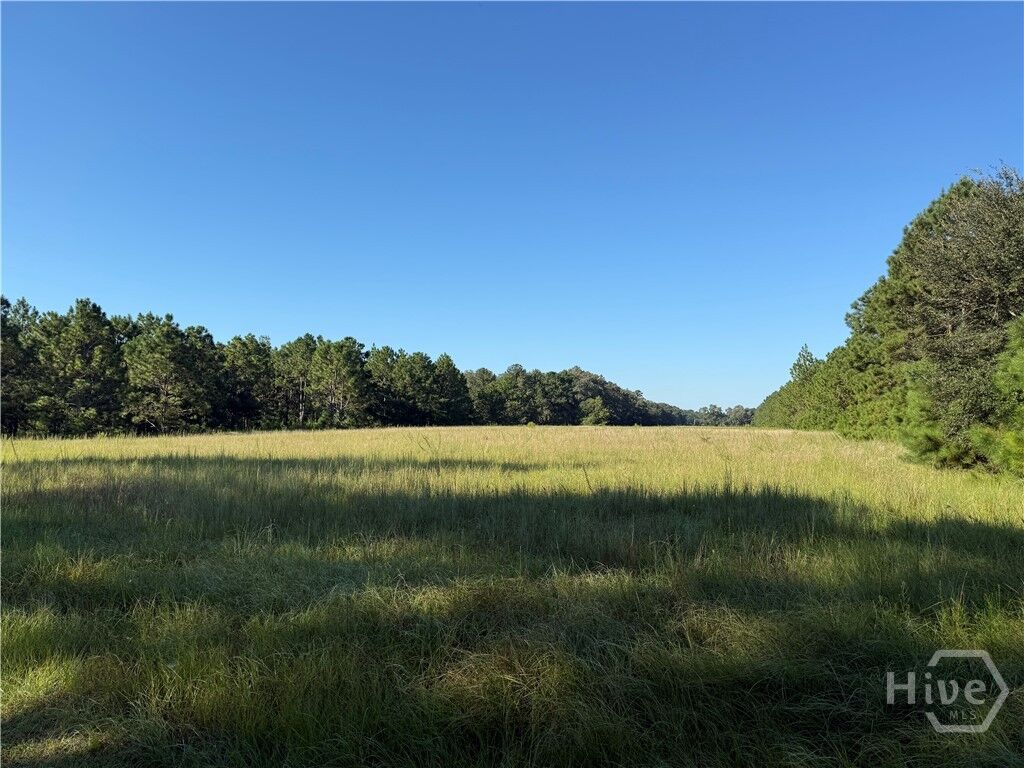 Property Photo:  0 Sunbury Road Tract 4  GA 30417 