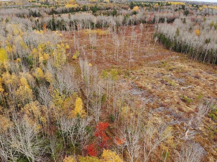 Property Photo:  Feener Road  NS B0R 1A0 