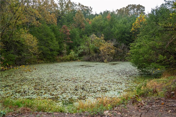 Property Photo:  31679 Ar-74  AR 72642 