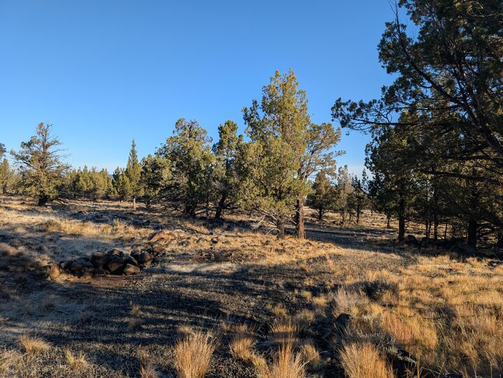 Property Photo:  Cedar Trails Lot 3  OR 97603 