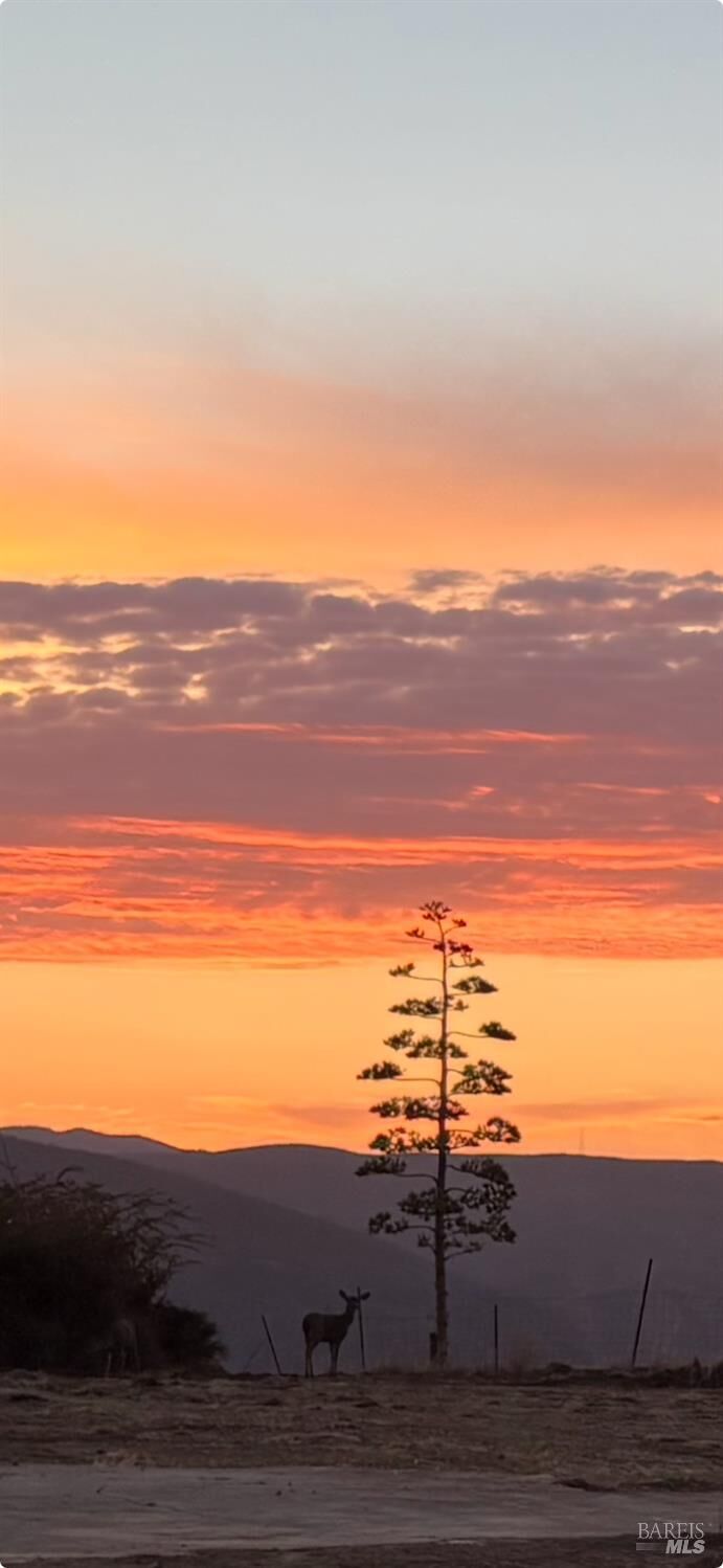 Property Photo: 1065 Rimrock Drive CA 94558