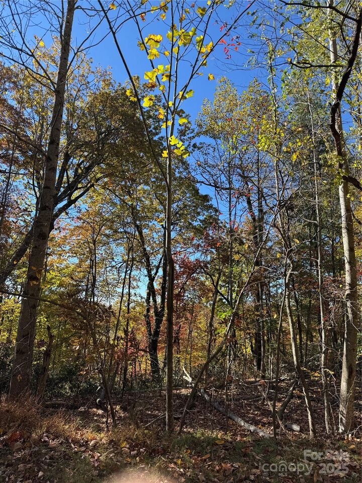 Property Photo:  9999 Hemlock Trail  NC 28739 