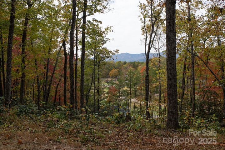 Property Photo:  154 South Slope Lane 18  NC 74848 