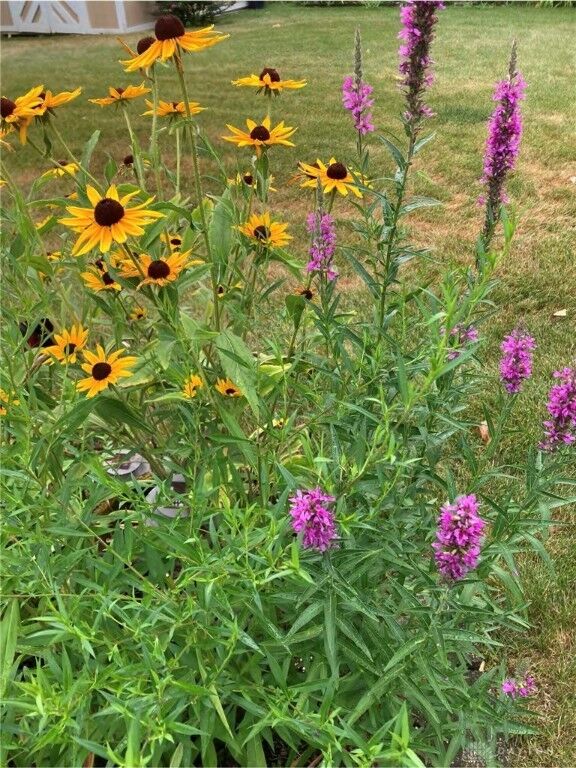 Property Photo: 1054 Wilhelmina Drive OH 45377