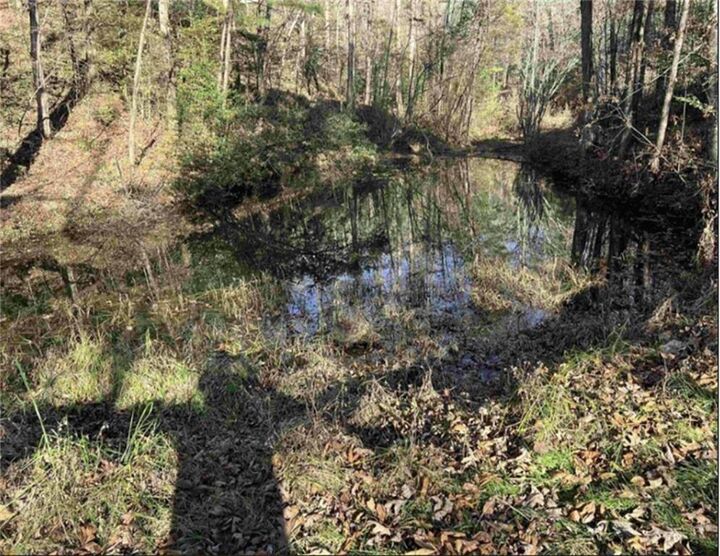 Property Photo:  0 Maple Rest Lane  GA 30540 