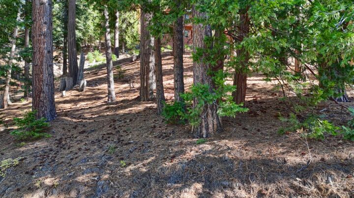 Property Photo:  7232 Yosemite Park Way  CA 95389 