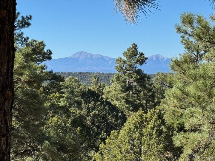 Property Photo: 33250 Fox Trail CO 81082