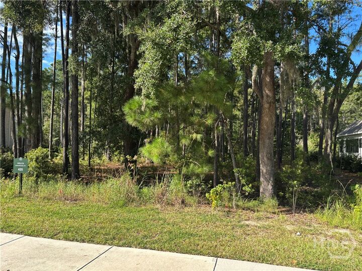 Property Photo:  183 Wood Haven Lane  GA 31322 