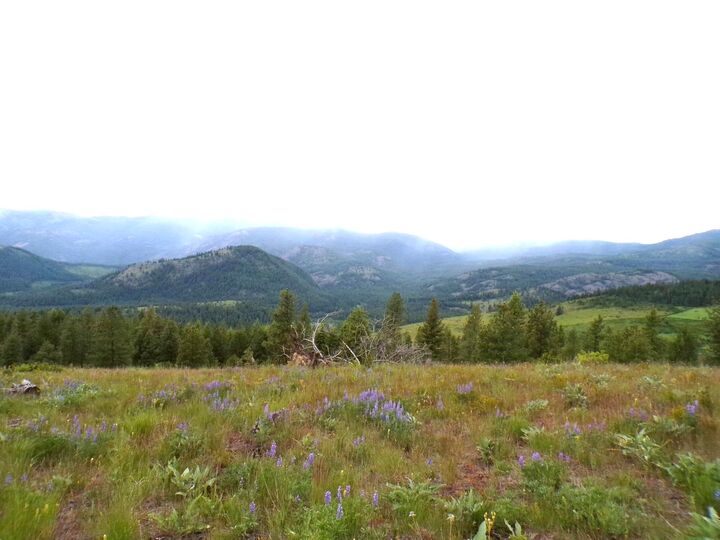 Property Photo: #B Vista View Ln WA 99138