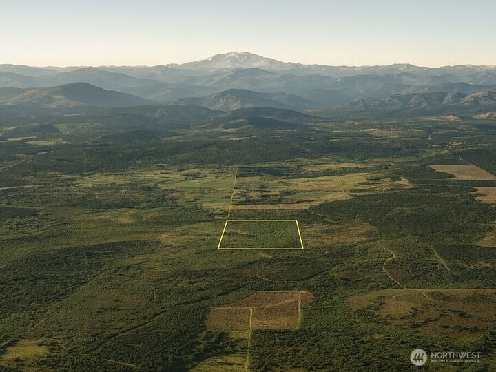 Property Photo:  981 W Homer Adams Road  WA 98541