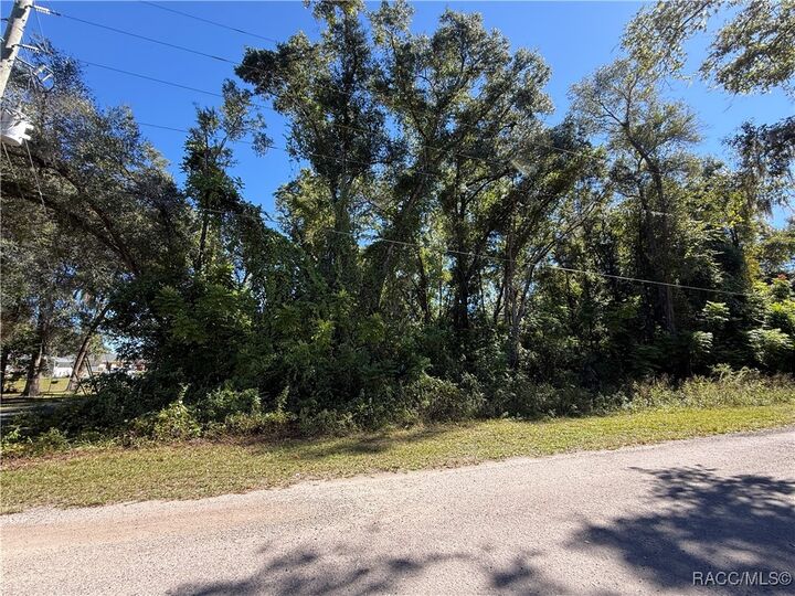 Property Photo: 759 N Corbin Avenue FL 34453
