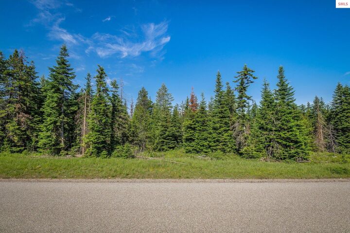 Property Photo:  Lot 10 E Riley Loop  ID 83801 