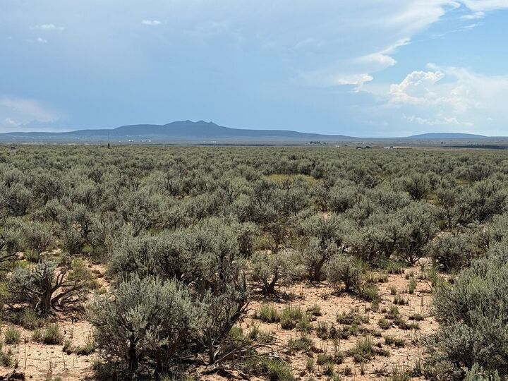 Property Photo: Tract A1b Calle Feliberto NM 87529