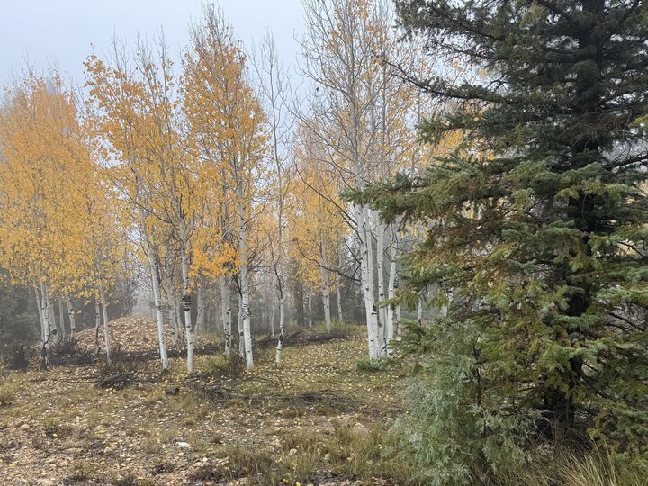 Property Photo: 3215 E Debonair Dr UT 84762