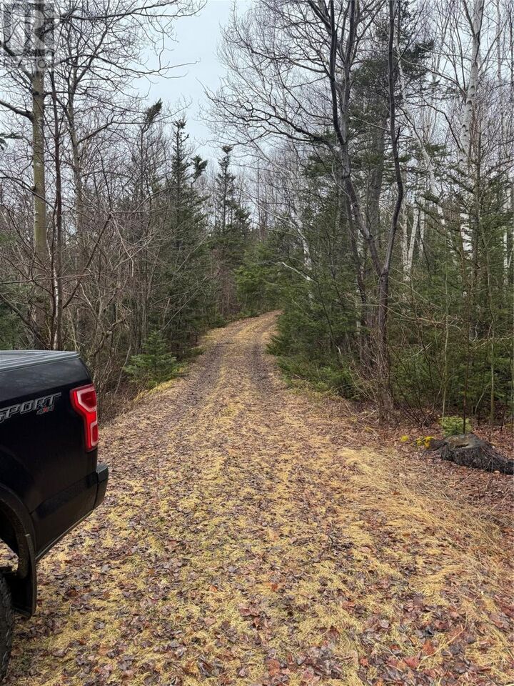 Property Photo:  0 Goobies Road  NL A0G 3Y0