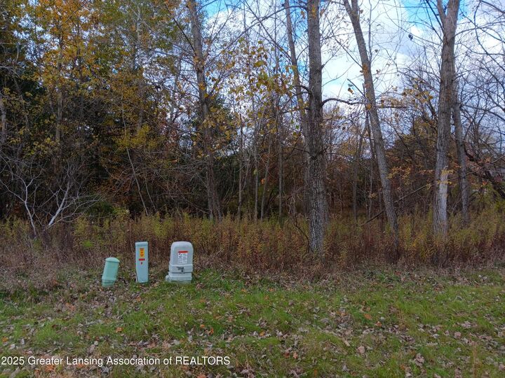 Property Photo: 603 Country Drive MI 48872