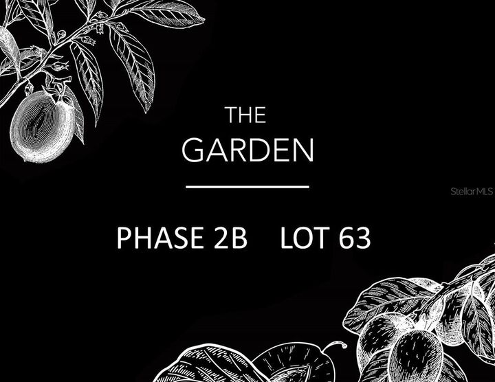 6137 SW 124th Way  Archer FL 32618 photo