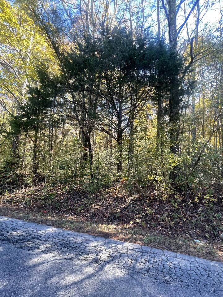 Property Photo: 0 Hayes Rd S TN 38464
