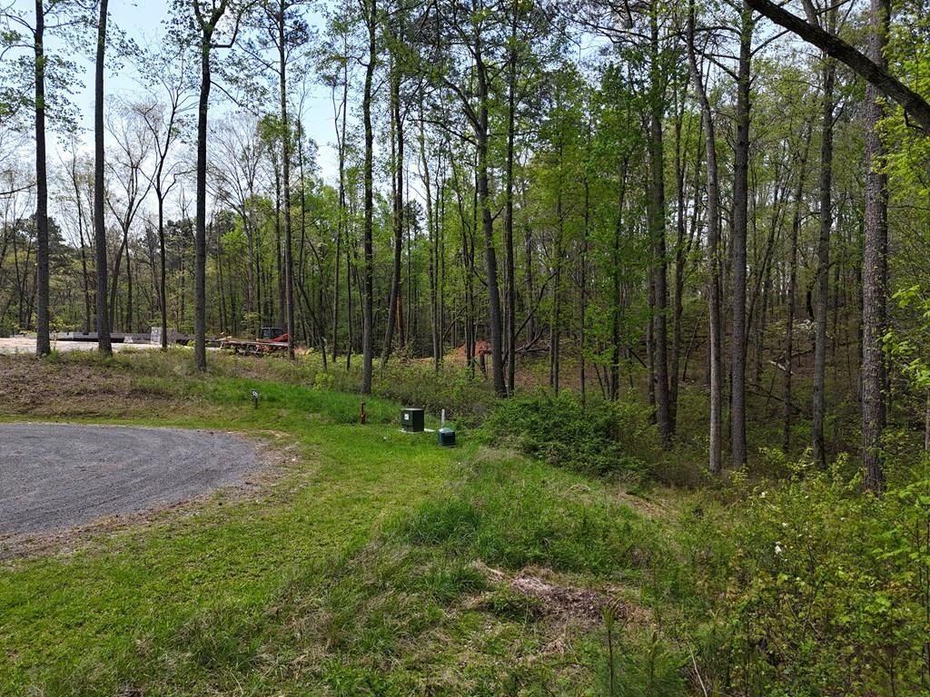 Property Photo: Lot 36R Hilton Drive GA 30540