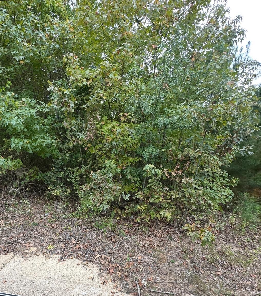 Property Photo: 354 Harrison Ave AR 71701