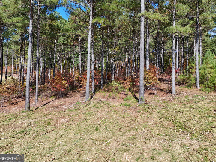 Property Photo:  Lot168 Stables Loop  GA 30512 