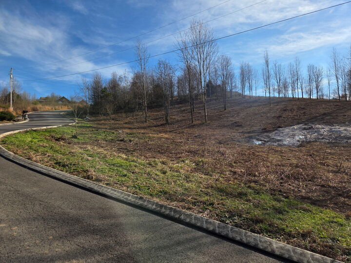 Property Photo: 0 Hardin Road TN 37327