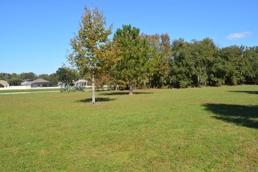 Property Photo:  0 Hester Avenue Avenue  FL 32773 