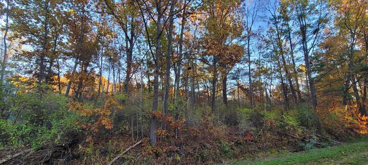 Property Photo:  0 Harbor Drive  MI 49449 