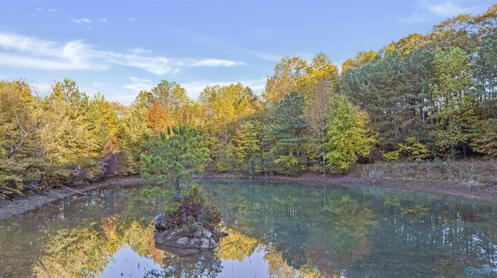 10.57 Acres County Road 166  Fort Payne AL 35967 photo