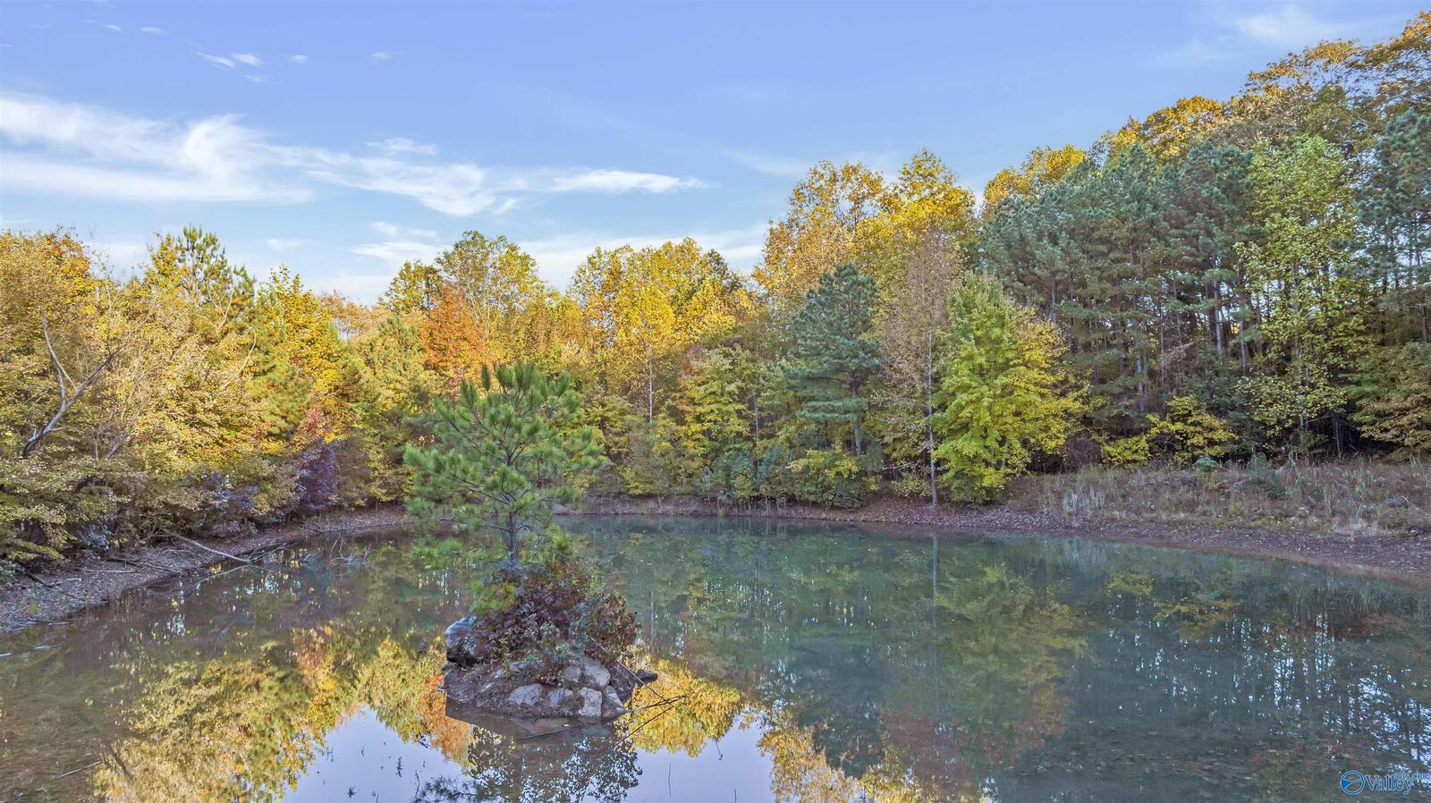 Property Photo: 10.57 Acres County Road 166 AL 35967