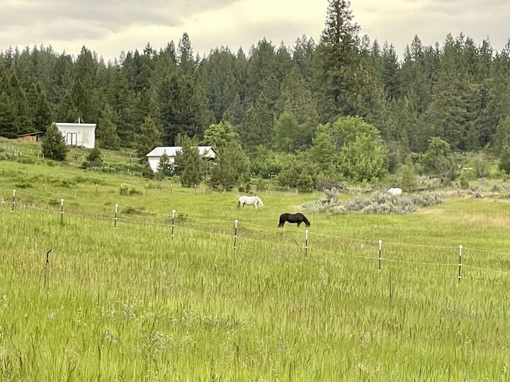 Property Photo:  2384 Wild Heart Way  WA 99141 