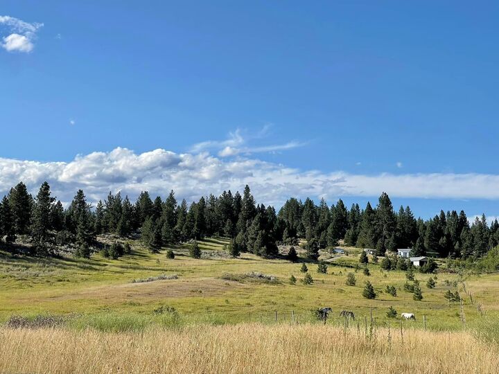 Property Photo:  2384 Wild Heart Way  WA 99141 