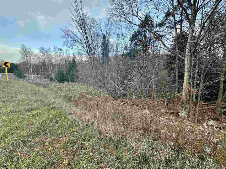 Property Photo: Tbd M-75 MI 49712