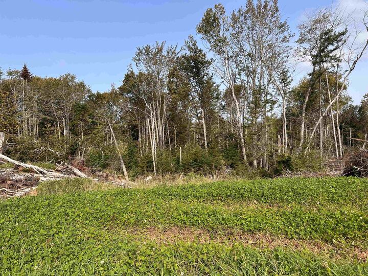 Property Photo:  Lot 153 Windsor Drive  PE C1B 1N3 