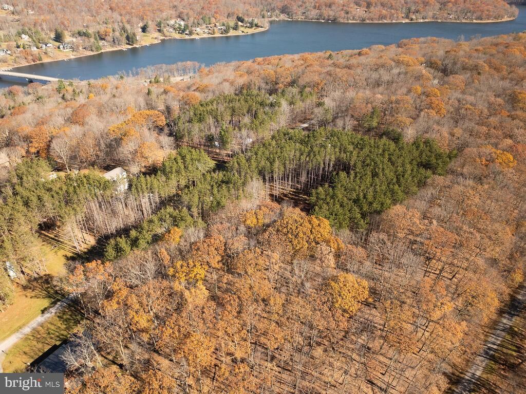 Property Photo:  170 San Francisco Street  MD 21550 