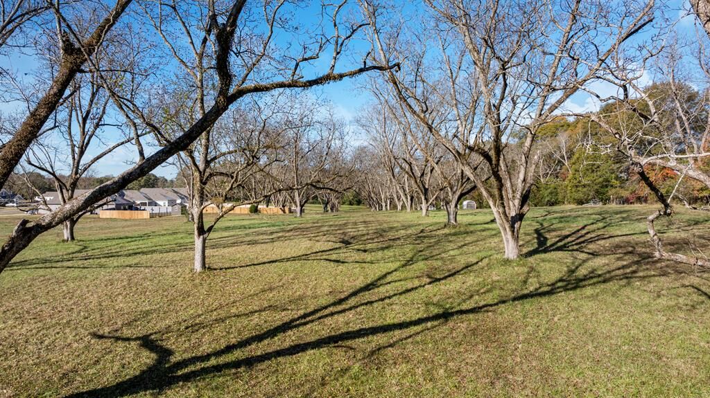 Property Photo:  153 Chinaberry Street  GA 31822 