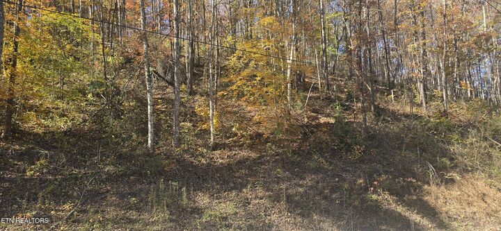 Property Photo:  Emerald Springs Loop  TN 37862 