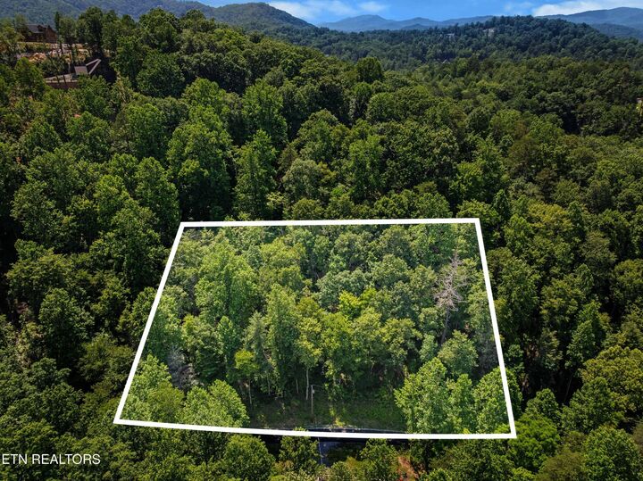 Property Photo:  Emerald Springs Loop  TN 37862 