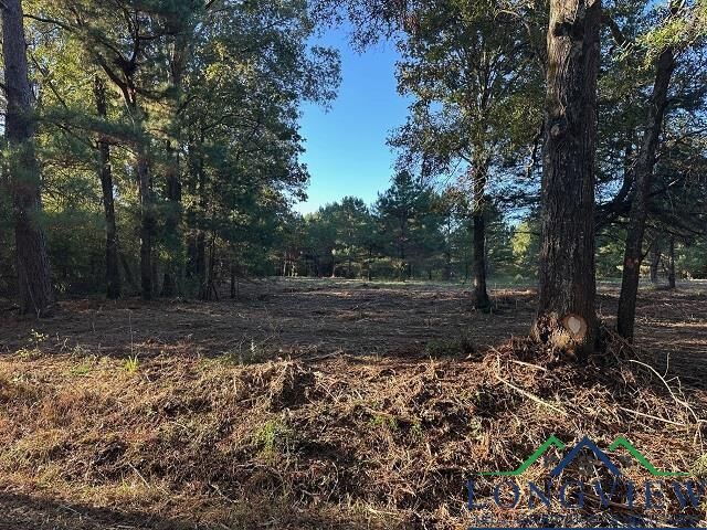 Property Photo:  Tbd Cr 1552  TX 75669 