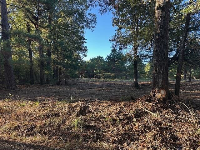 Property Photo: Tbd Cr 1552 TX 75669