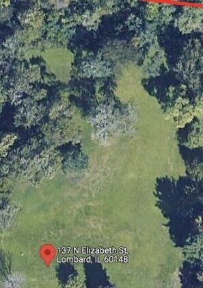 137 N Elizabeth Street  Lombard IL 60148 photo
