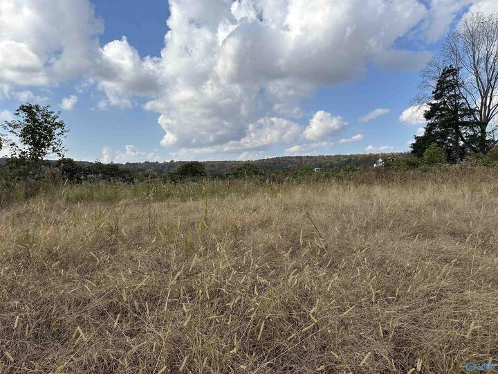 Property Photo:  5.4 Acres Burwell Road  AL 35749 