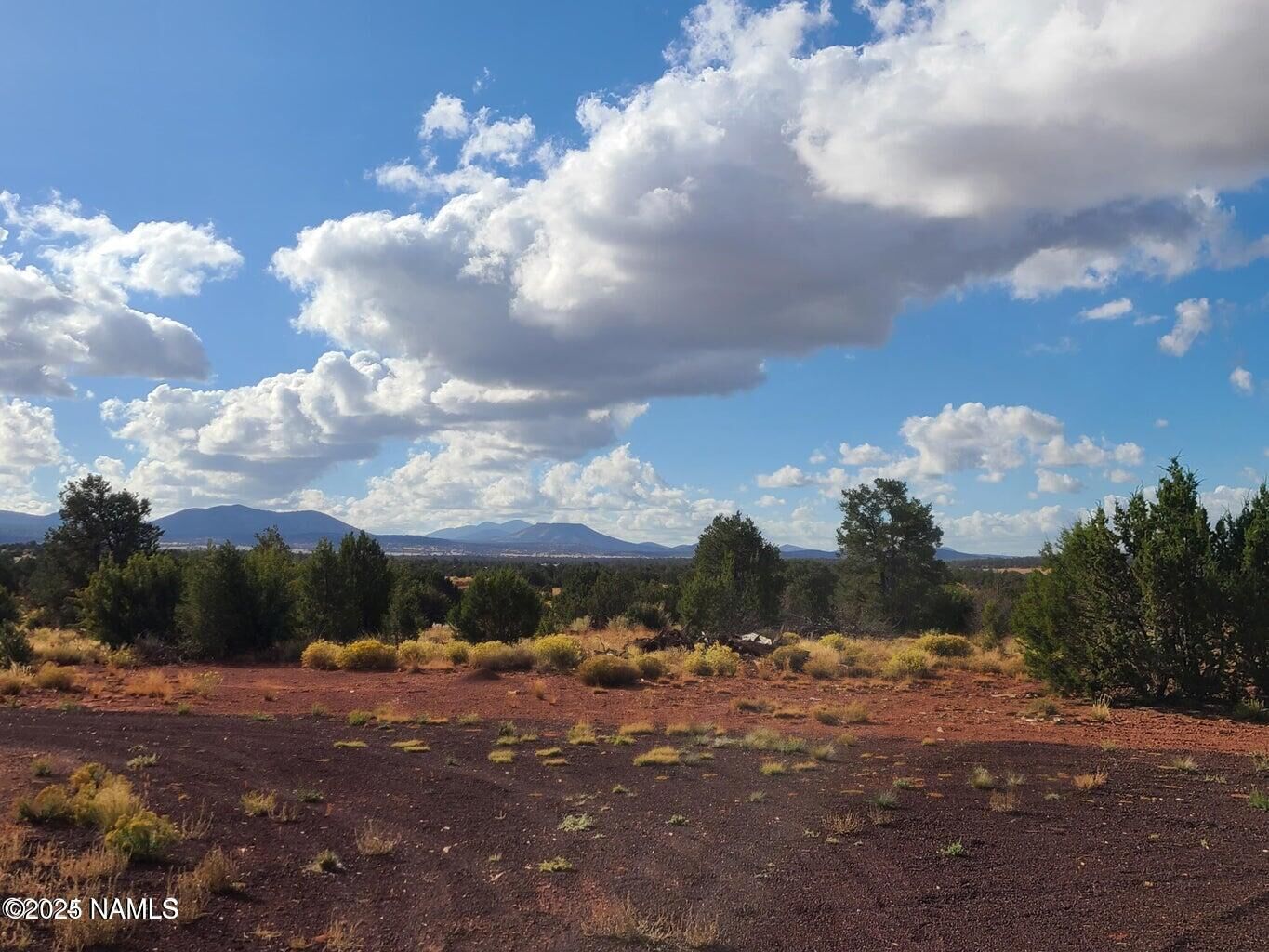 Property Photo:  4342 Lasso Loop  AZ 86046 