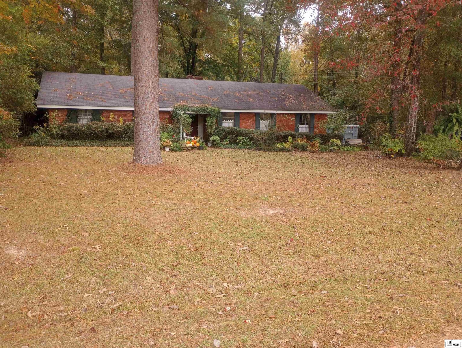 Property Photo: 407 Tulane Street LA 71220