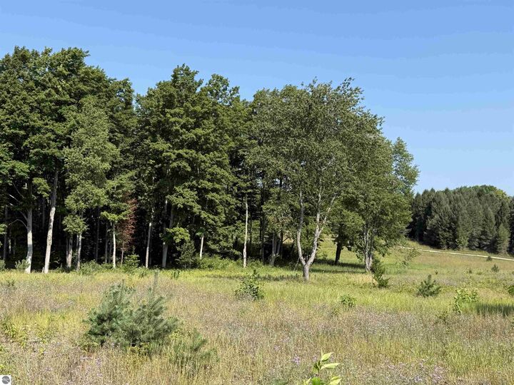 Property Photo:  Parcel A6 S Bright Road  MI 49664 