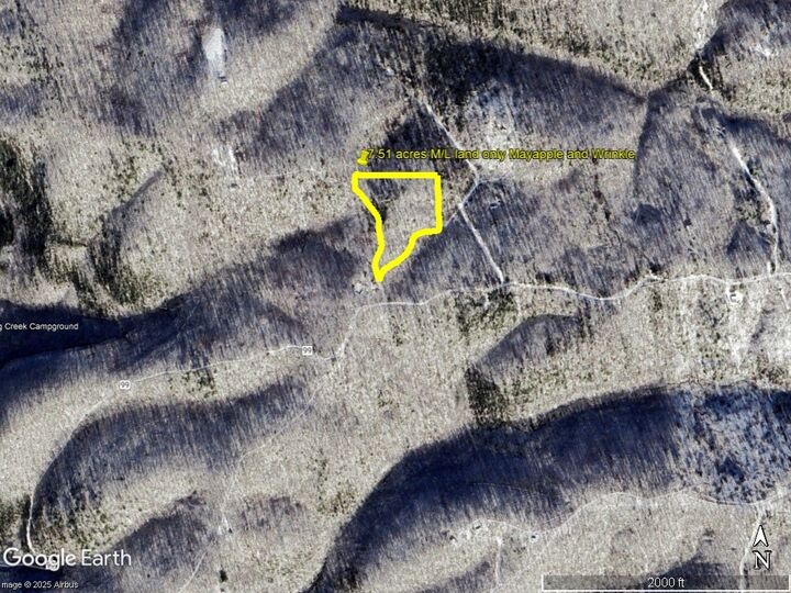 Property Photo:  229 Mayapple Road  AR 72639 