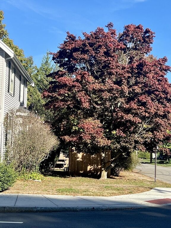 Property Photo: 556 Webster Street MA 02494