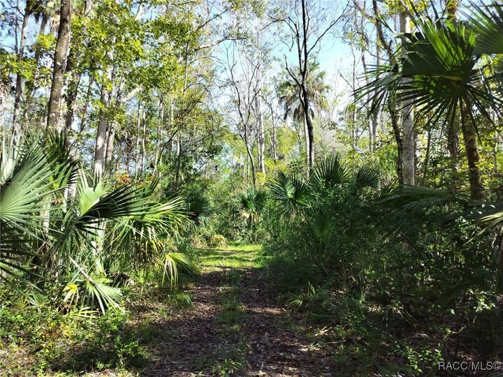 Property Photo:  10008 W Pennsylvania Street  FL 34448 