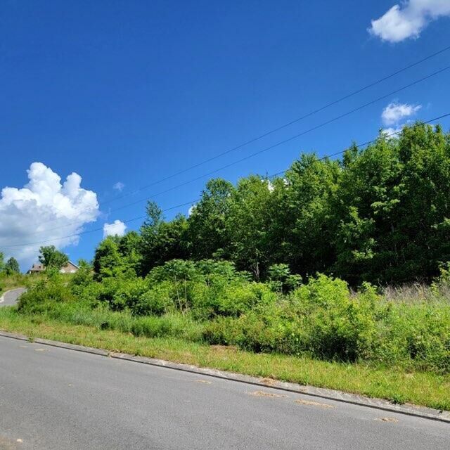 Property Photo:  0 Hardin Rd 74 Road  TN 37327 