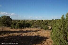 Property Photo:  Lot 51 Road 3950  NM 87401 